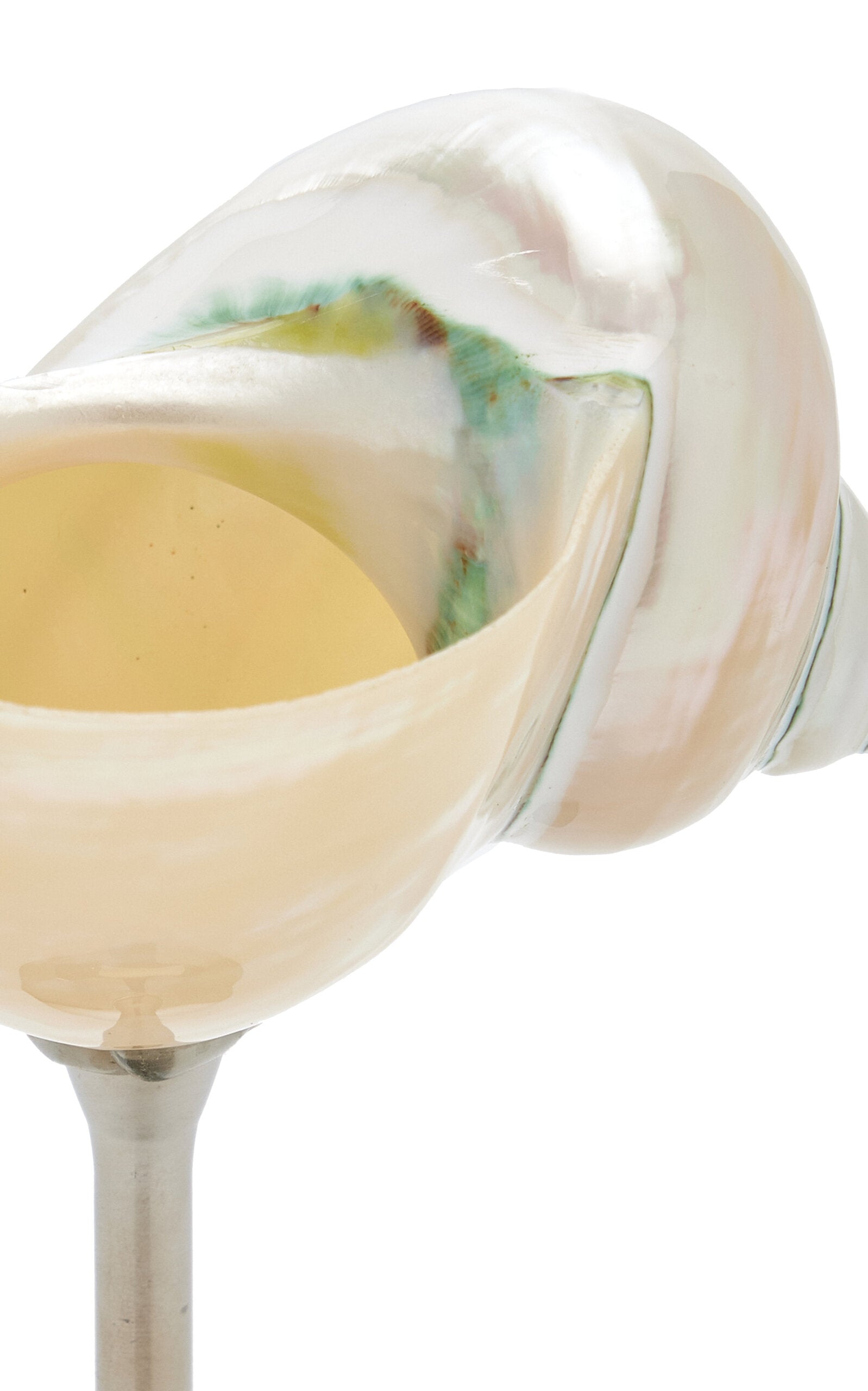 Natural Conch Shell Wine Glass