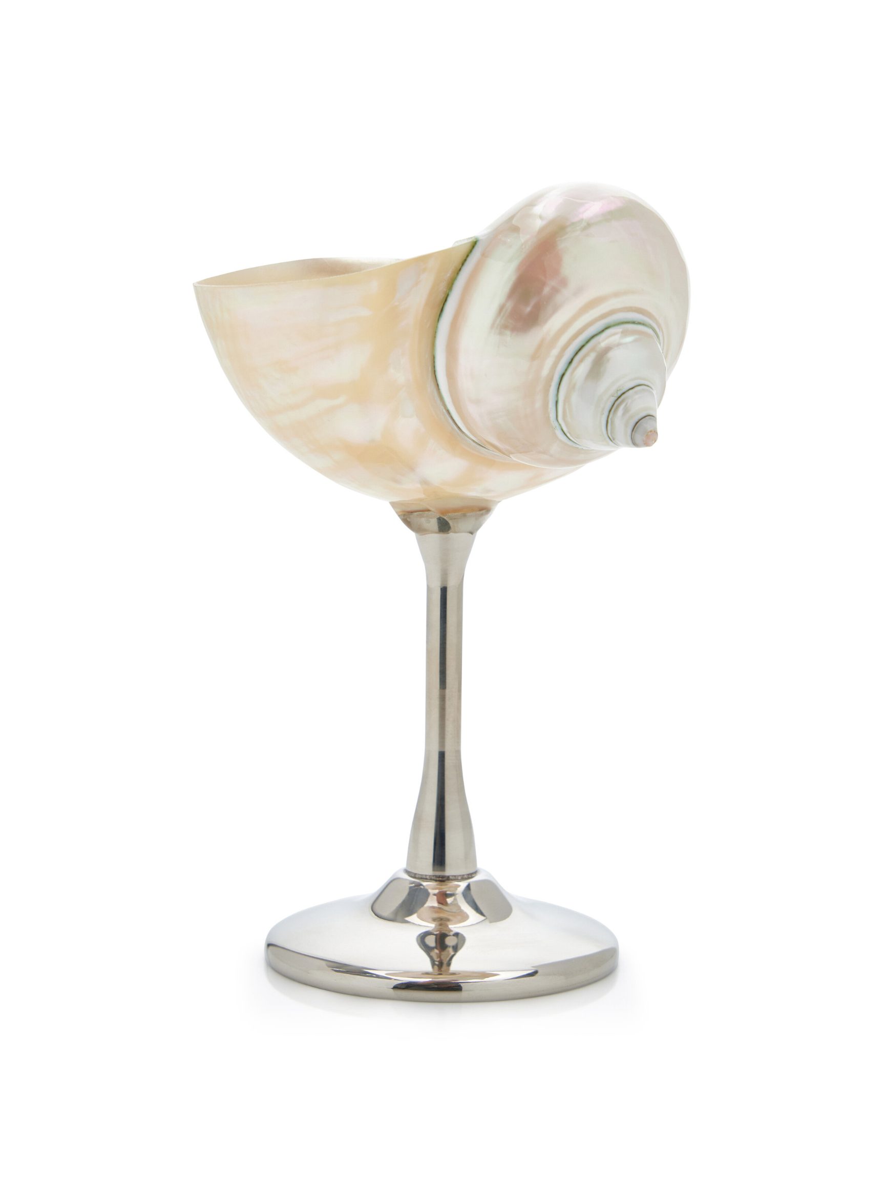 Natural Conch Shell Wine Glass